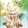 avatar of user7467107388