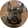avatar of Monster1123