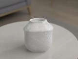 Vaso Vega-1