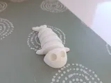 Flexi fish-2