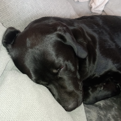 avatar of Dave Guenther