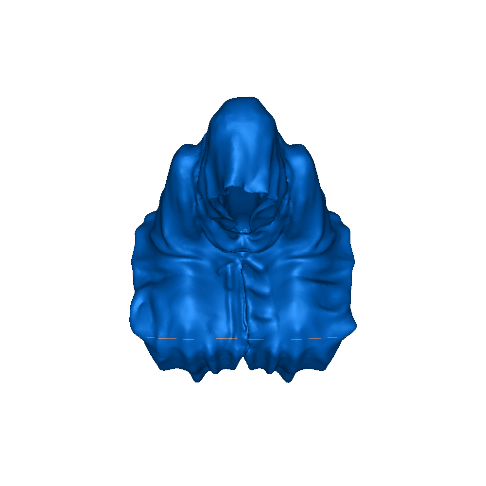 ghost