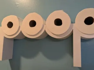 support papier toilette poop