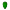 caveira