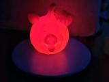 Pumpkin PIG-6