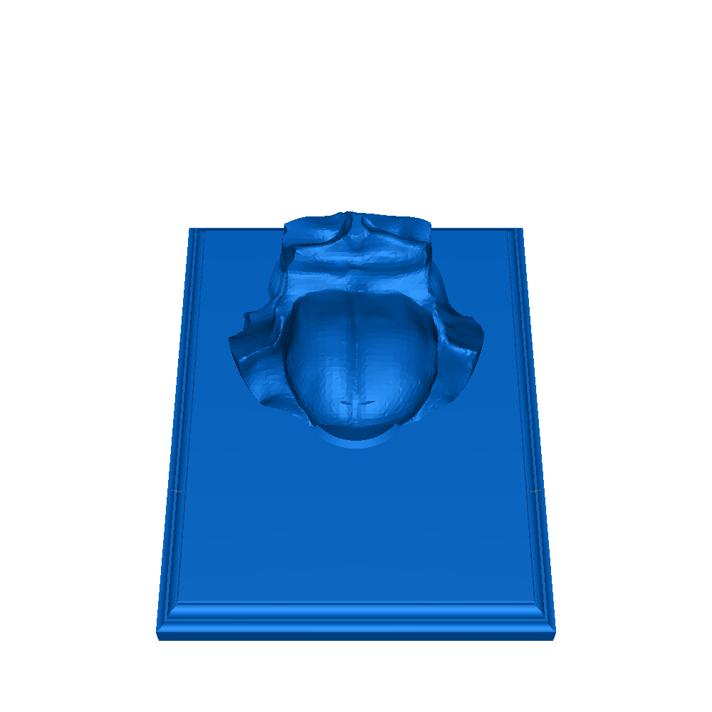 Full size human brain