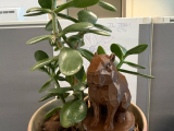 Capybara statue-4