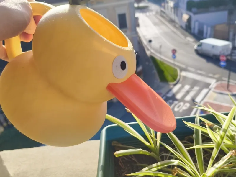Psyduck watering can 