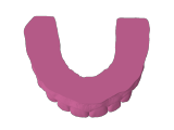 Dental Model Maxilla-0