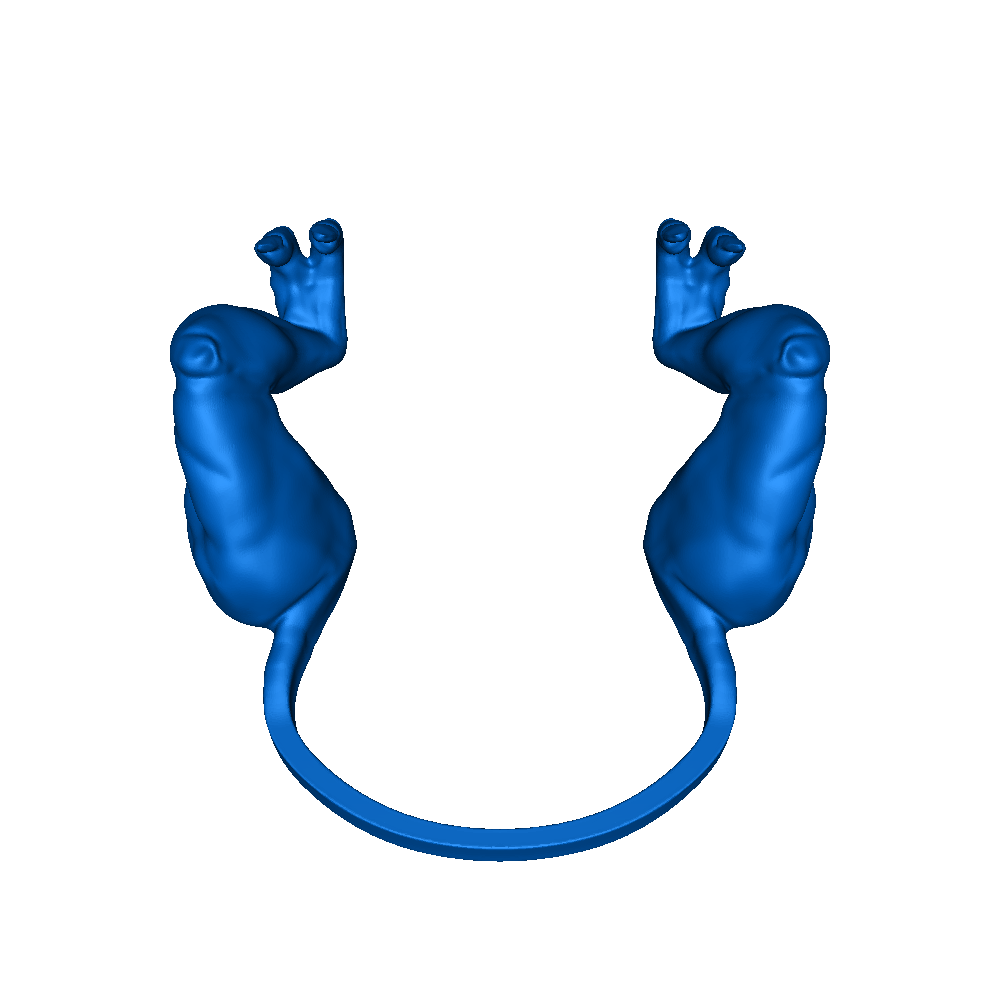 T-rex Arms for chicken