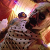 avatar of Coot Loot Boogie