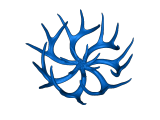 Deer Antler -1