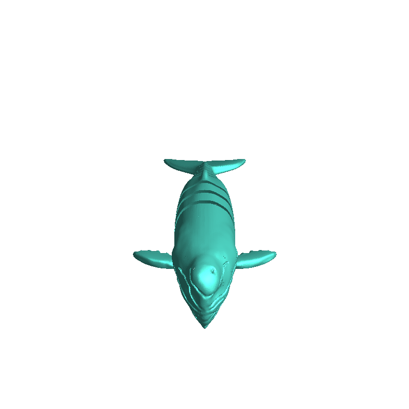 Sperm Whale Flexi