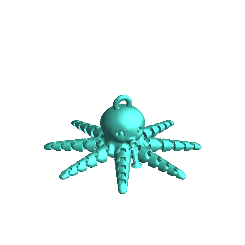 Octopus With Ring