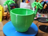 Pot -1
