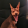 avatar of TALMOX