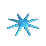 fidgtopus