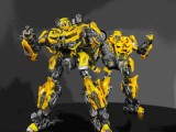 Bumblebee MPM 3  Add on-8