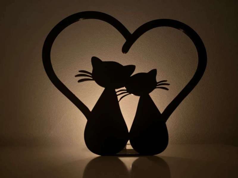 Cats in Love