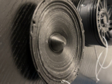 DS18 Speaker-1