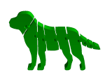 Fl dog labrador-0