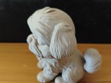 Shih Tzu-2