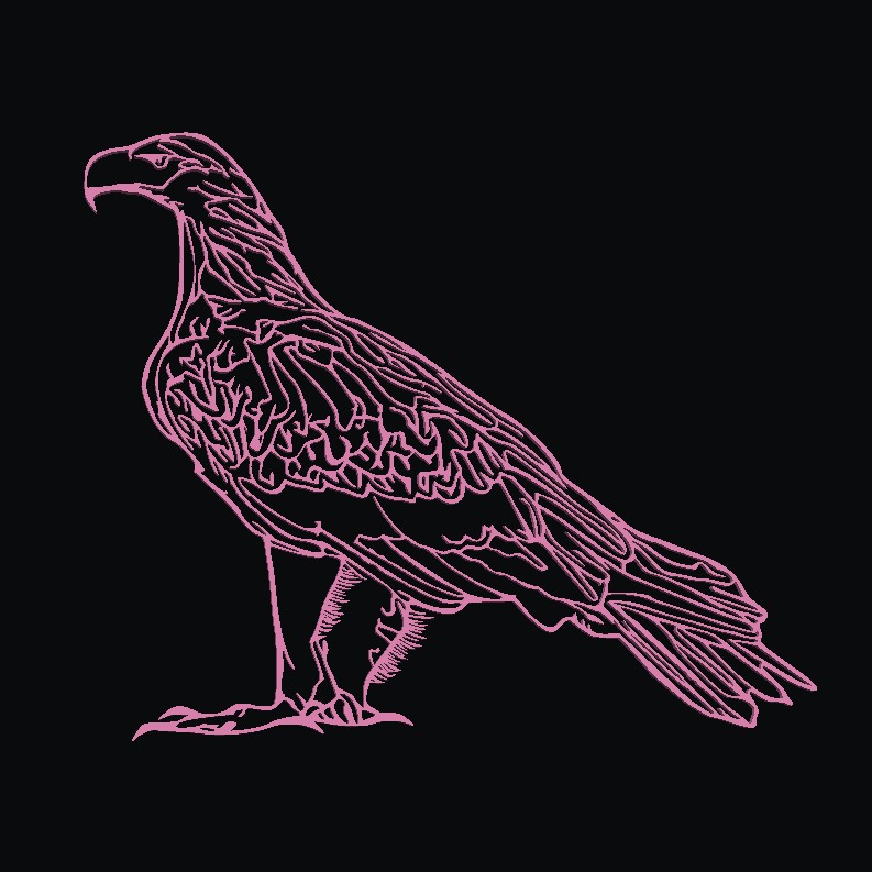 Digital Art STL Download - Australian Wedge Tail Eagleby Krystal3dp