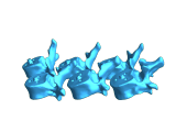 Articulating Spine with base-6