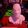 avatar of DeadpoolDave