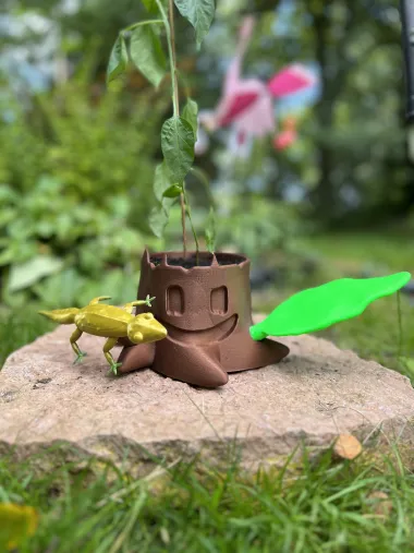 Tree Stump and Lizard plant plot-0