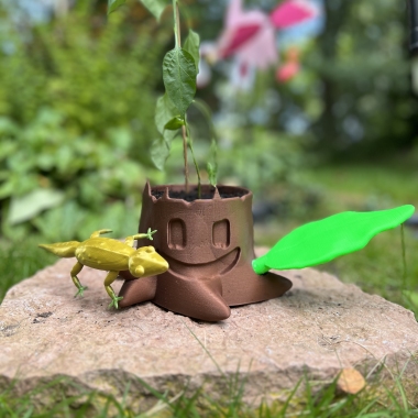 Tree Stump and Lizard plant plot-0