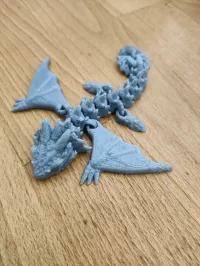 Amphiptere Flexible Baby Dragon-2