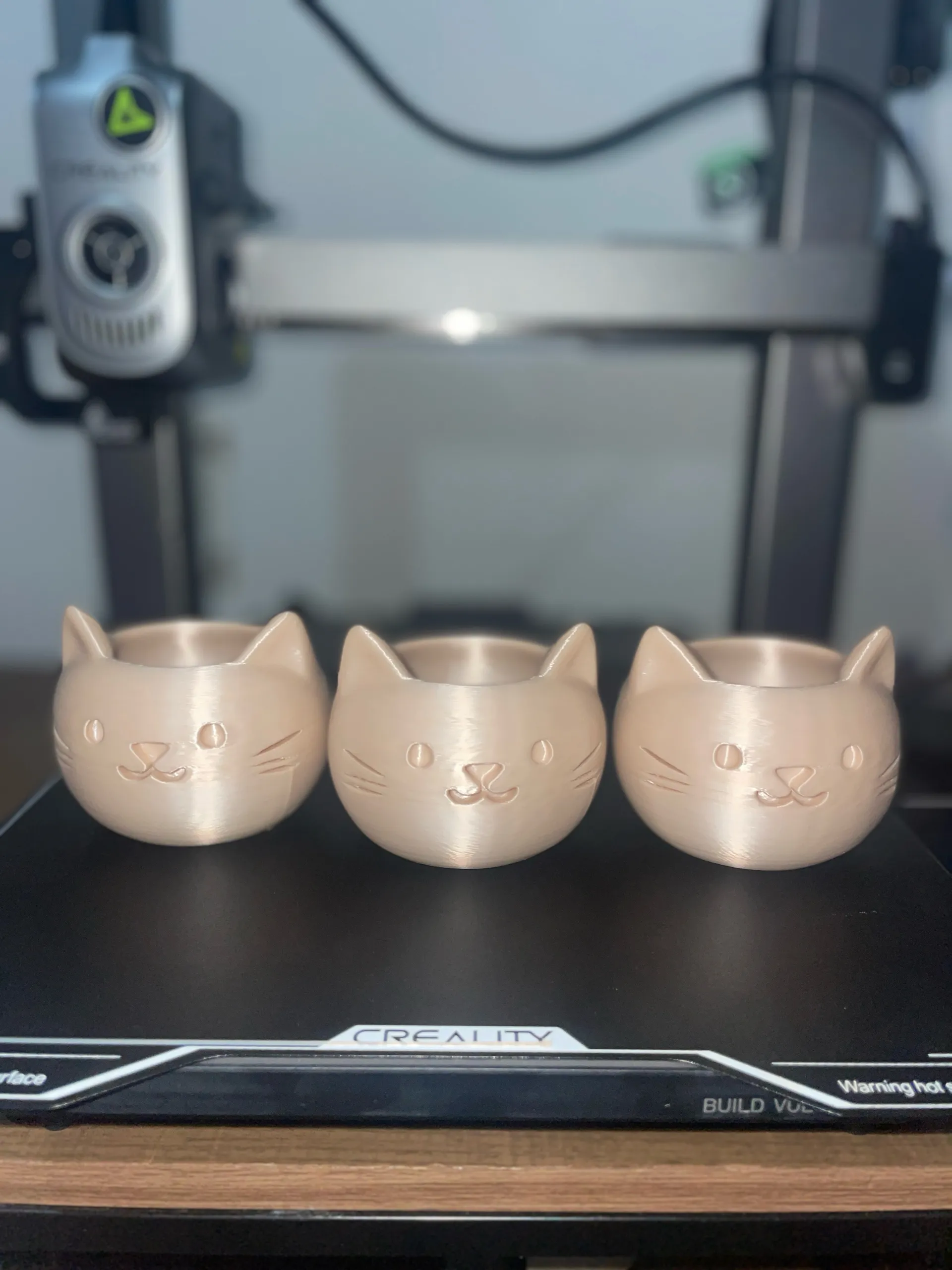 vaso gatto-1