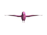 b-0