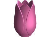 vaso tulipa-0
