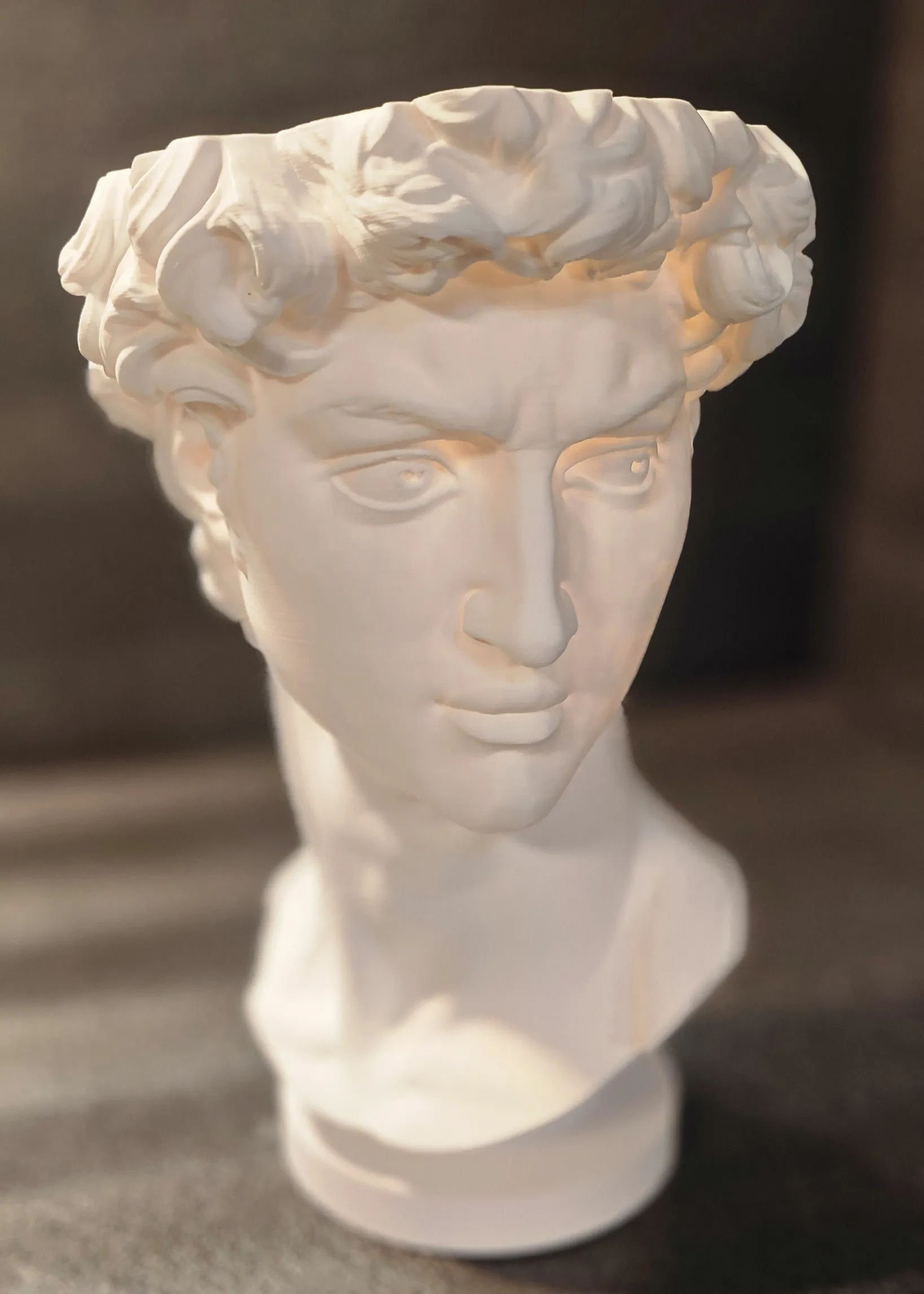 Maceta Busto Griego (David)-1