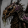 avatar of Infesticon