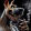 avatar of Airguylle39