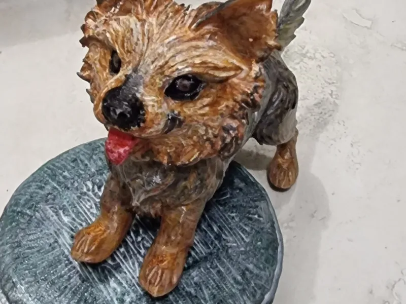 Yorkshiire Terrier 