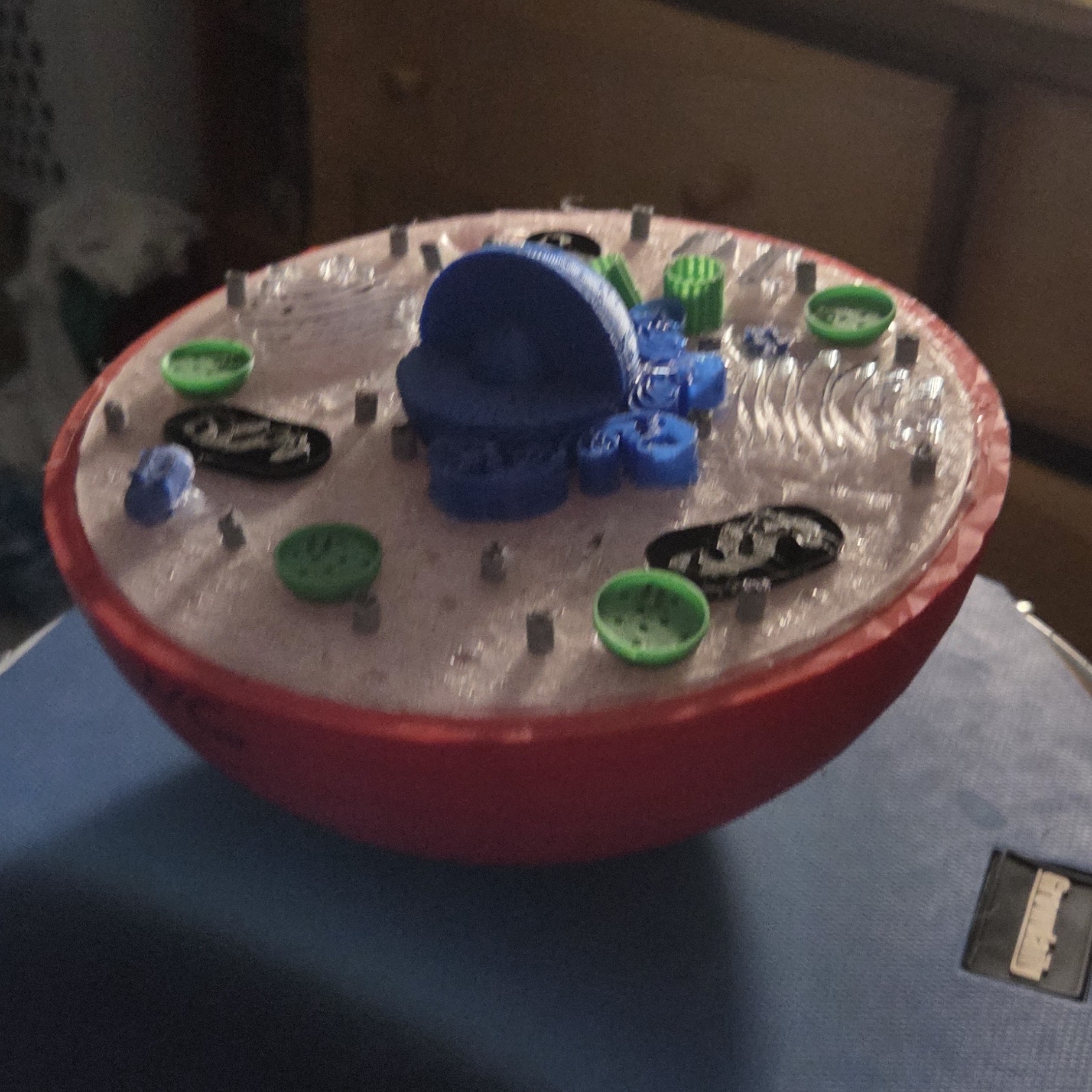 Animal cell model