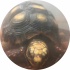 avatar of Tortoise