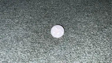 Year Of The Horse Coin-1