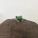 avatar of Bakedfrog19