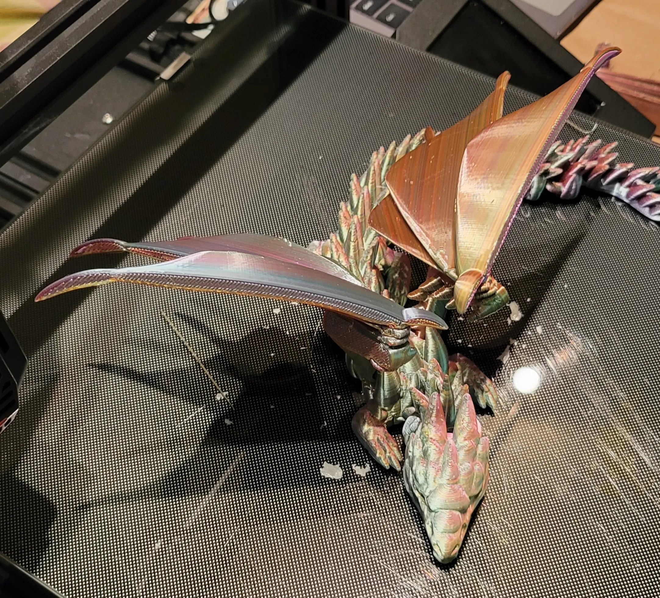 Silver Dragon-2