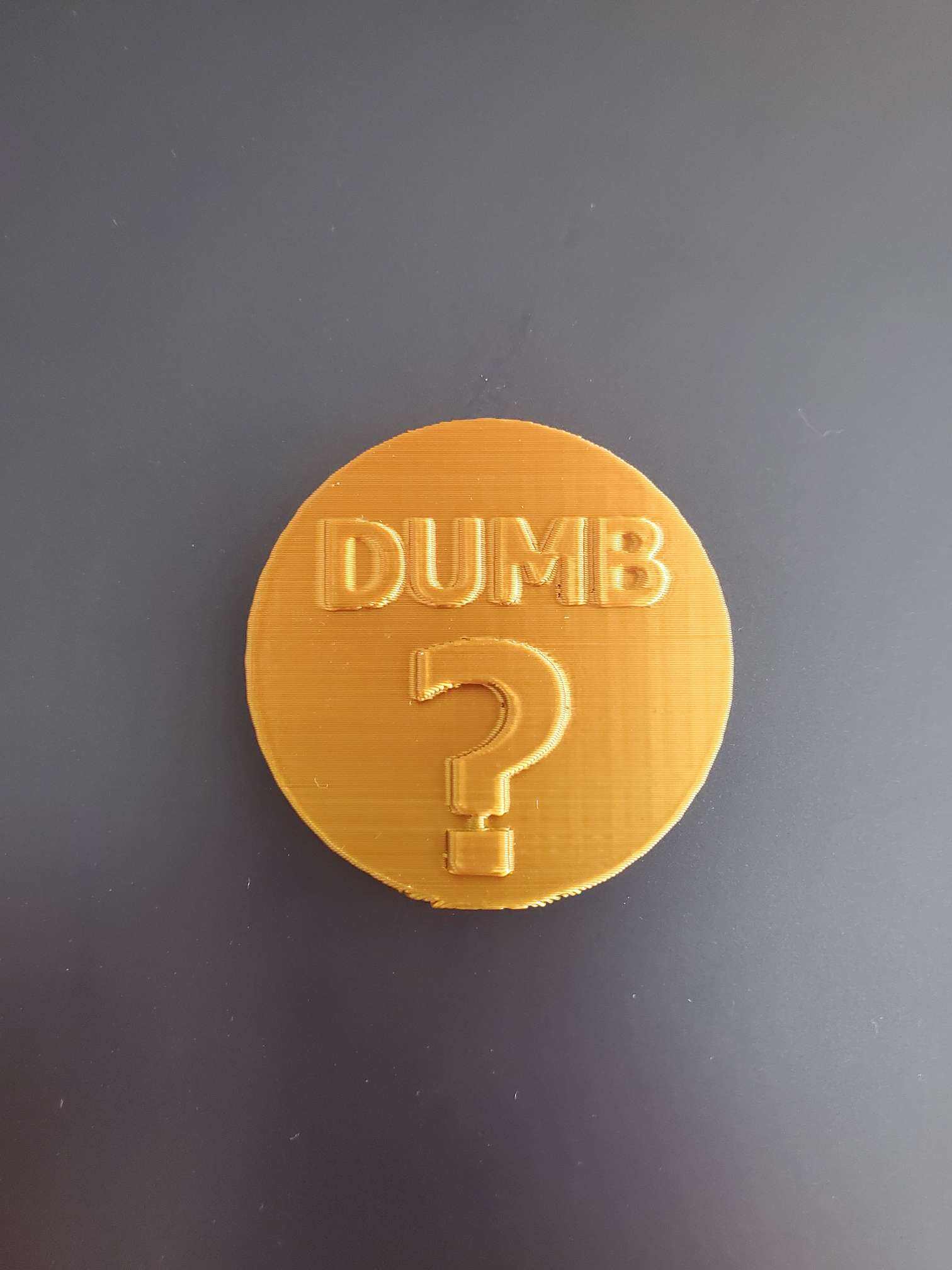 Dumb Question coin