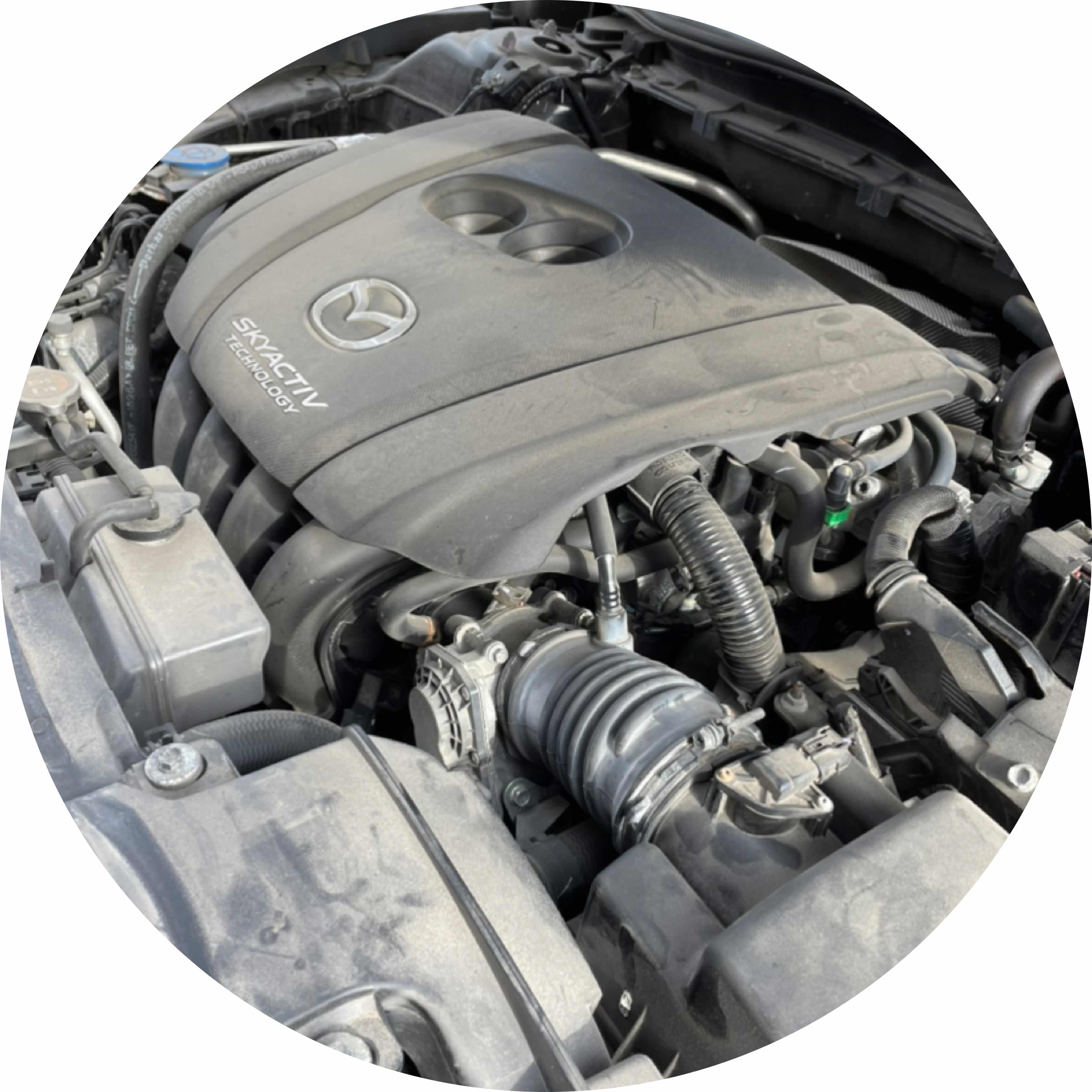 avatar of UprightSnow6295