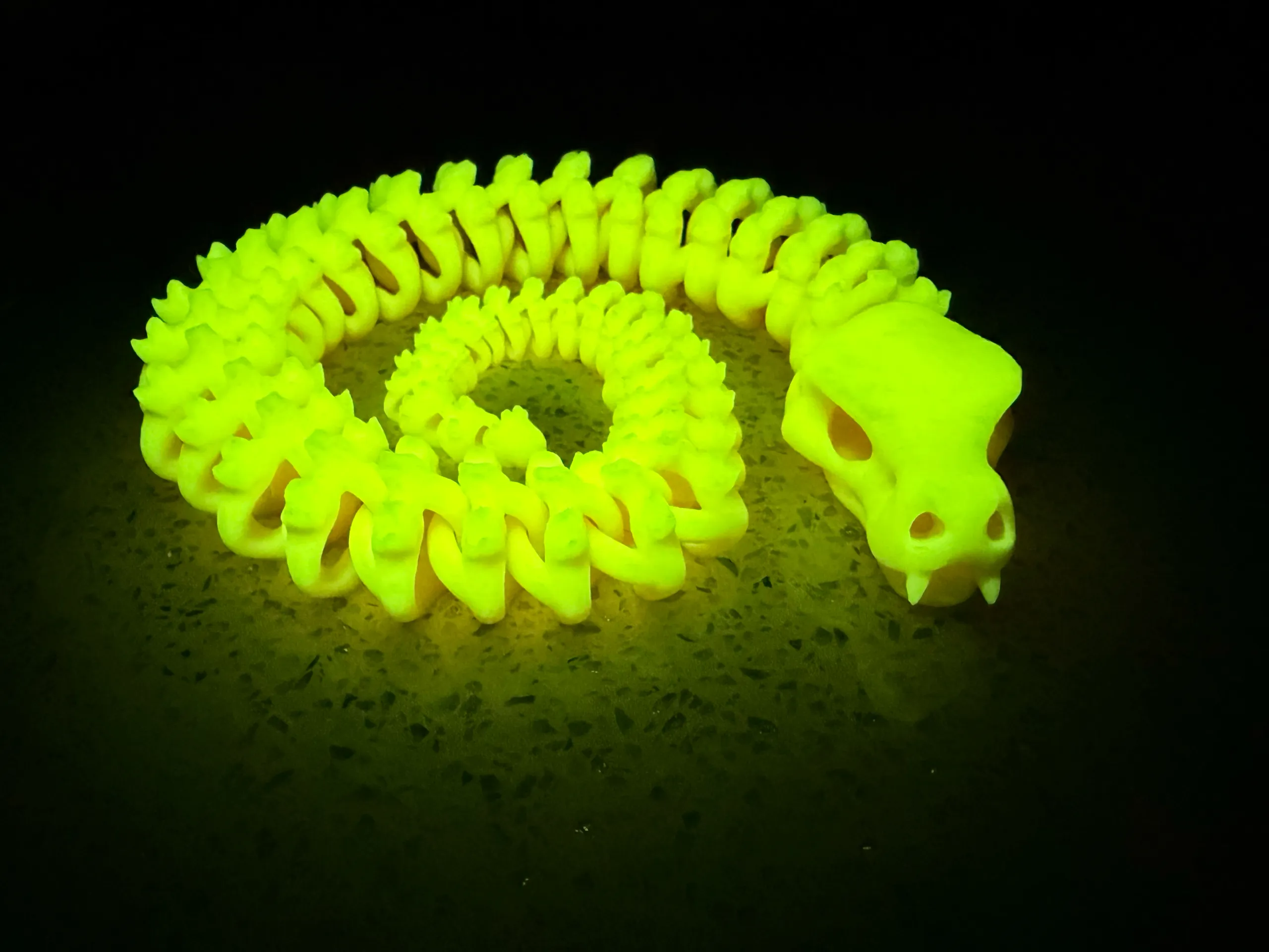 Articulated Skeleton Snake-1