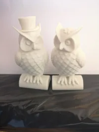 Owl-0