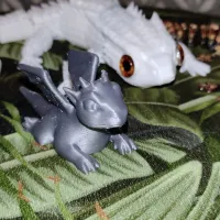 The Baby Dragon-3
