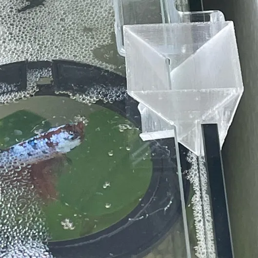 Fish tank feeder funnel